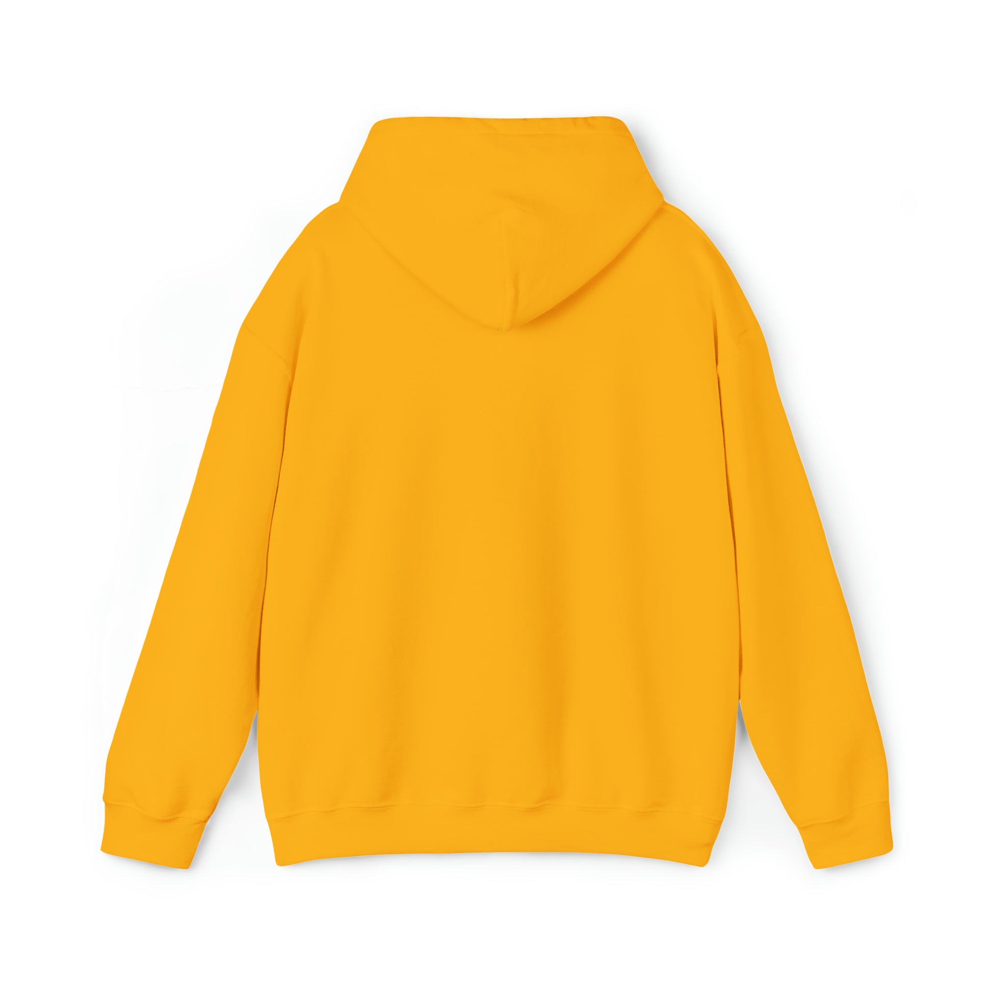 CAVANARO HOODIE