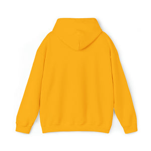CAVANARO HOODIE